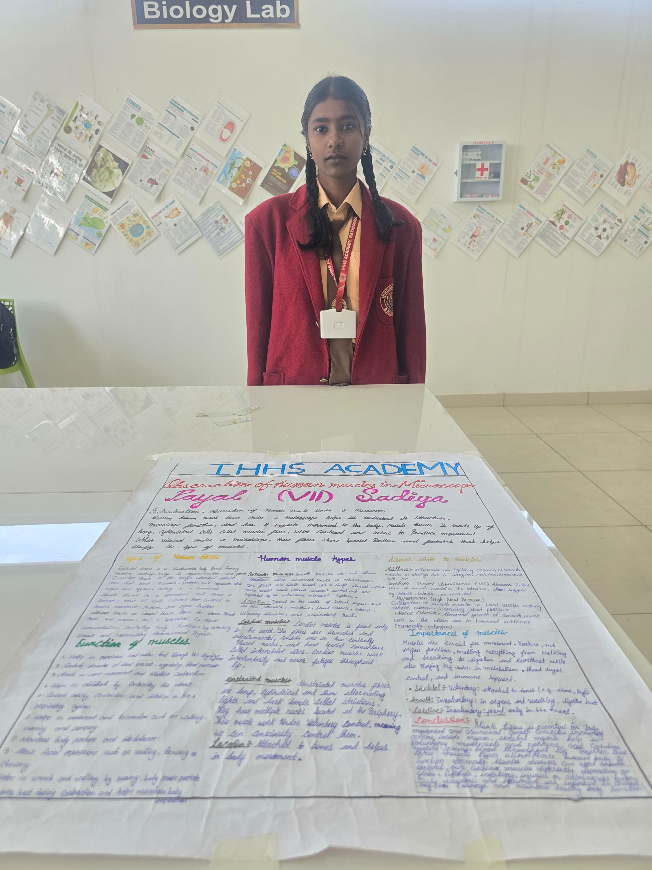 Human muscles in microscope