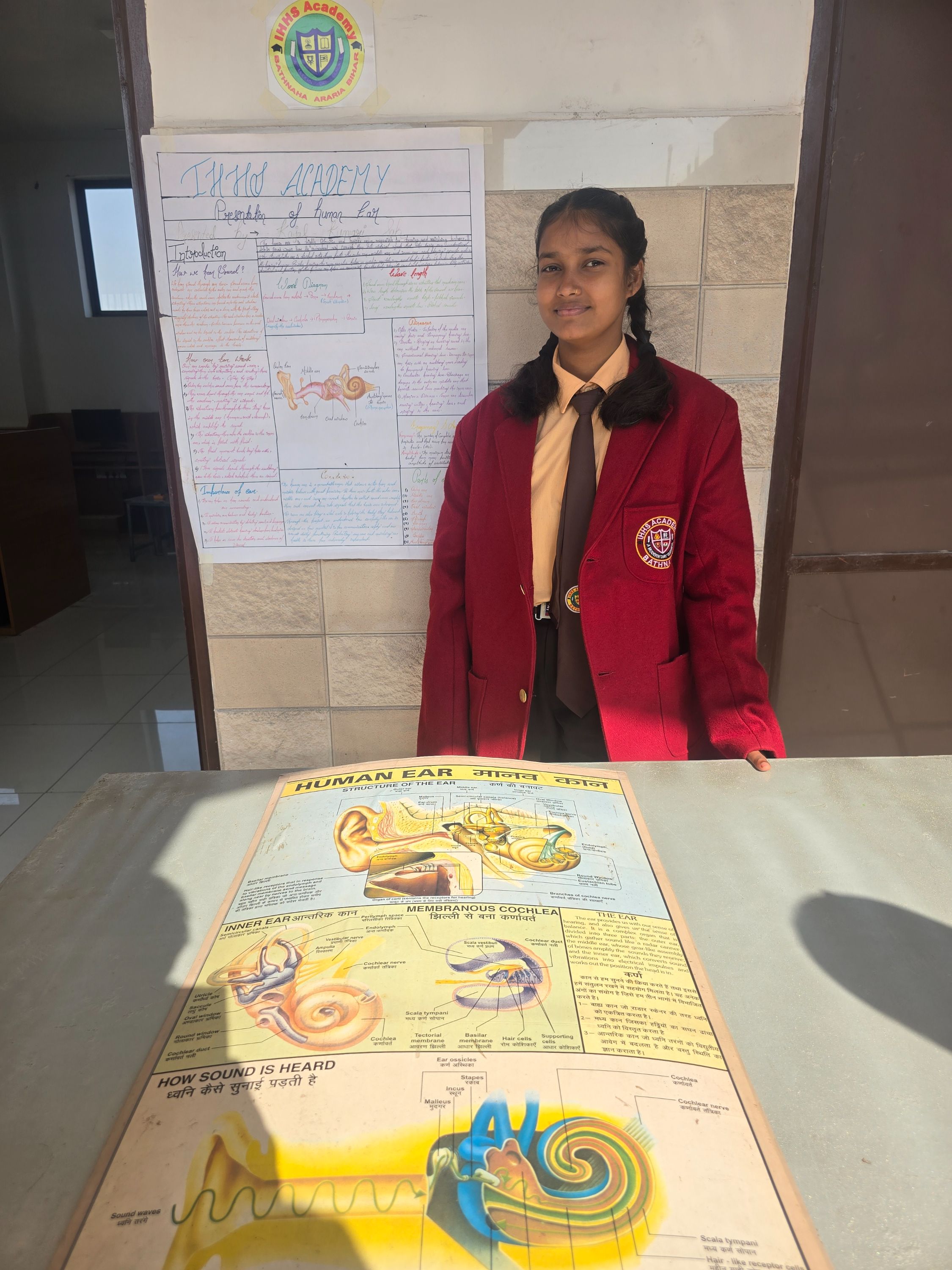 Excretory system of human