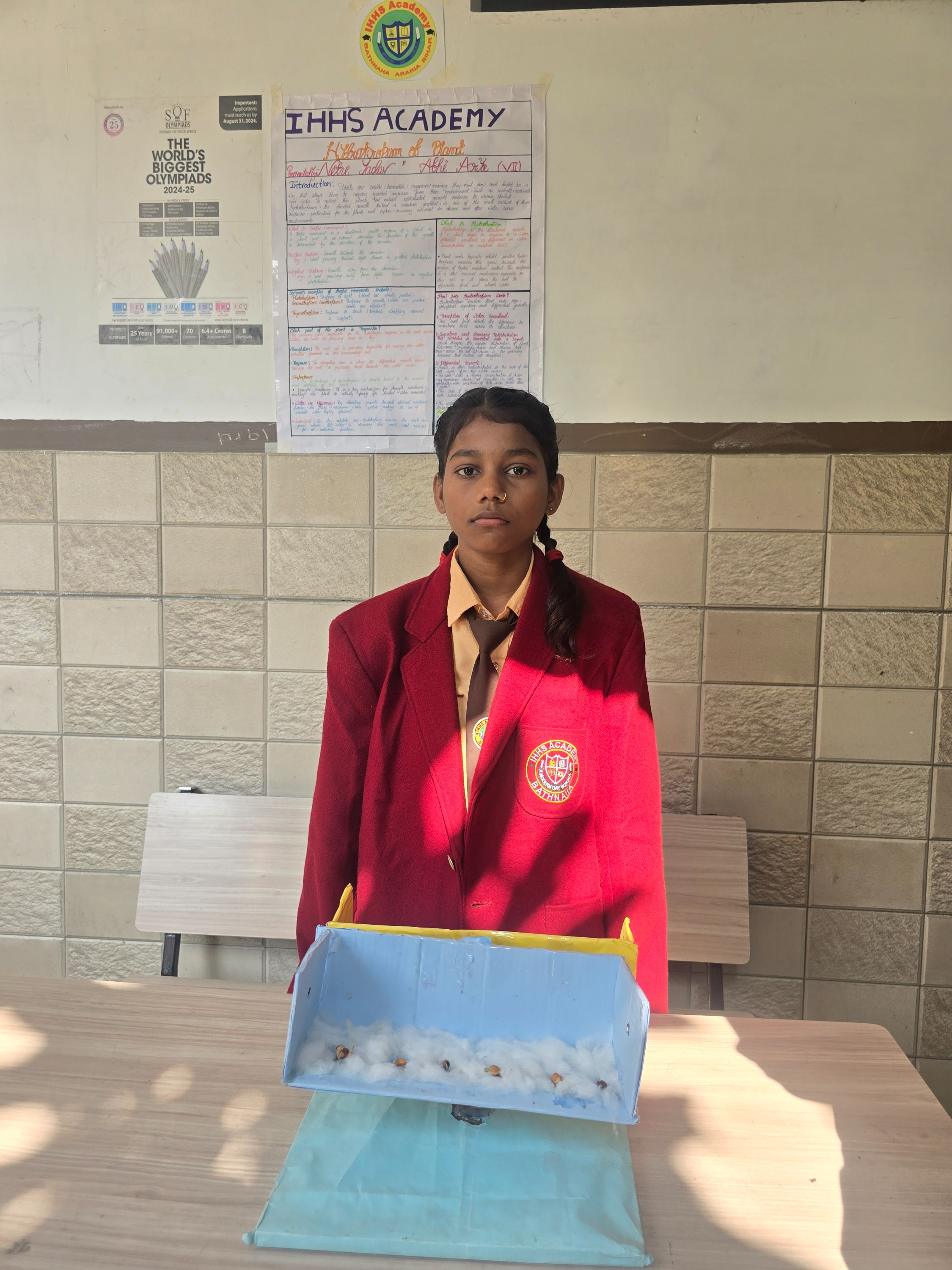 Hydrotropism of Plant