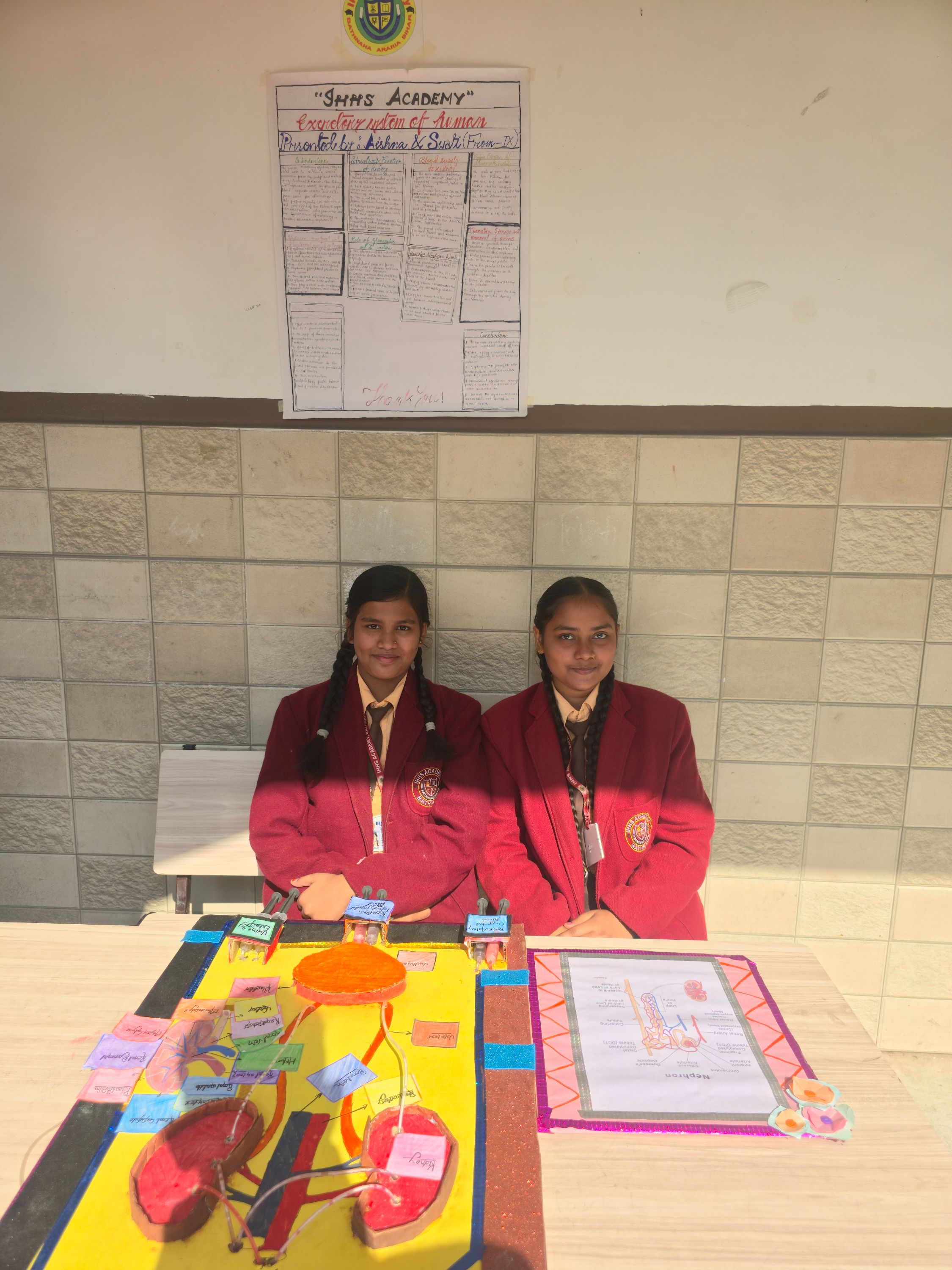 Excretory system of human